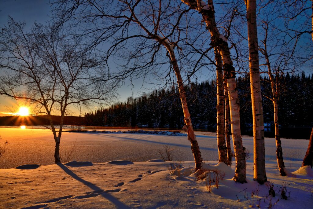 Vinter i Sverige